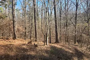 0 Bay Shore Dr, Lincolnton, GA 30817 - Photo 1