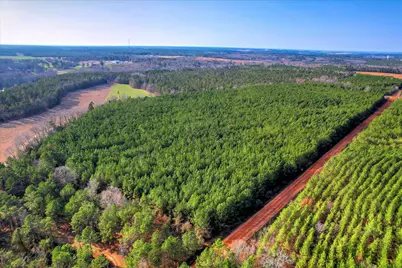 0 Old Thomson Road, Wrens, GA 30833 - Photo 3