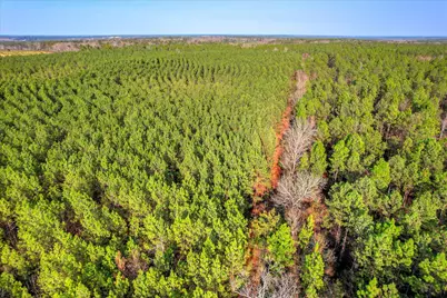 0 Old Thomson Road, Wrens, GA 30833 - Photo 15