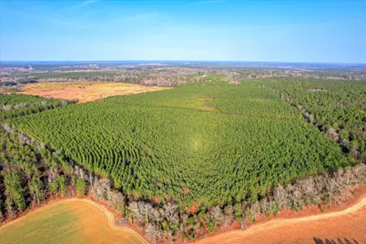 0 Old Thomson Road, Wrens, GA 30833 - Photo 13