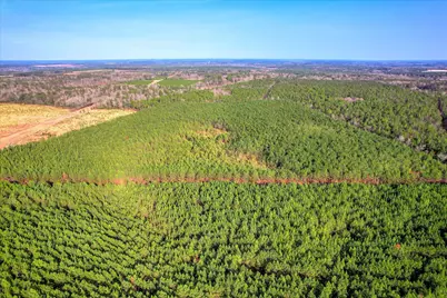 0 Old Thomson Road, Wrens, GA 30833 - Photo 5