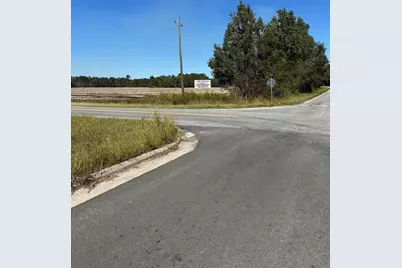 20945 Georgia 46, Nevils, GA 31321 - Photo 3