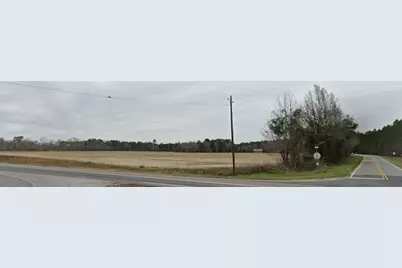 20945 Georgia 46, Nevils, GA 31321 - Photo 5