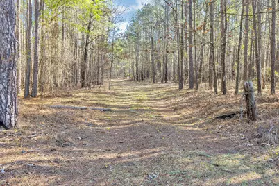 000 Banks Mill Road, Aiken, SC 29803 - Photo 1