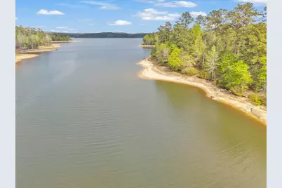 Lot 65 Maiden Cane Way, Lincolnton, GA 30817 - Photo 45