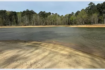 Lot 65 Maiden Cane Way, Lincolnton, GA 30817 - Photo 11