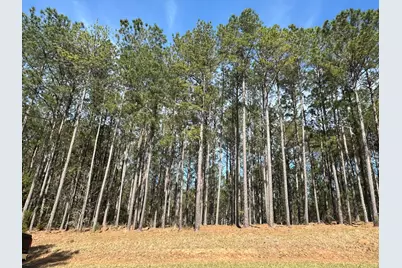 Lot 65 Maiden Cane Way, Lincolnton, GA 30817 - Photo 1