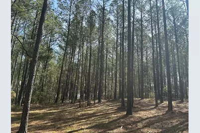 Lot 65 Maiden Cane Way, Lincolnton, GA 30817 - Photo 5