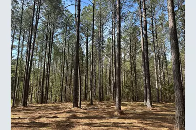 Lot 65 Maiden Cane Way, Lincolnton, GA 30817 - Photo 3