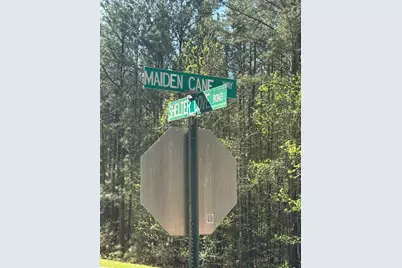 Lot 65 Maiden Cane Way, Lincolnton, GA 30817 - Photo 13