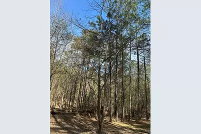 Lot 65 Maiden Cane Way, Lincolnton, GA 30817 - Photo 7