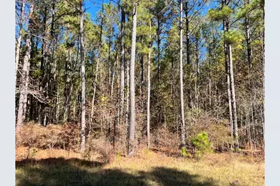 0 Mariners Way, Lincolnton, GA 30817 - Photo 1