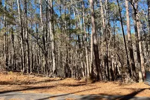 0 Oconee Ln, McCormick, SC 29835 - Photo 1