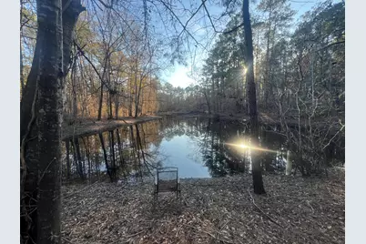 22701 Hwy 129, Cobbtown, GA 30420 - Photo 15