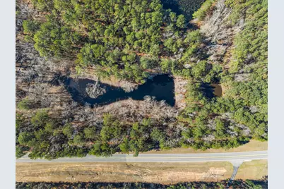22701 Hwy 129, Cobbtown, GA 30420 - Photo 5
