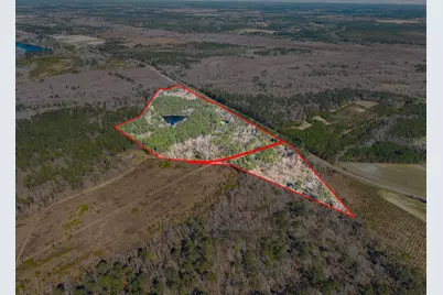 22701 Hwy 129, Cobbtown, GA 30420 - Photo 3