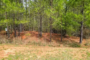 1048 Longleaf Wy, Lincolnton, GA 30817 - Photo 1