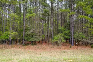 1030 Clinton-Williams Road Rd, Lincolnton, GA 30817 - Photo 1