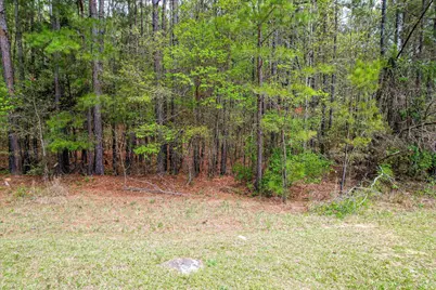 1078 Clinton-Williams Road, Lincolnton, GA 30817 - Photo 1