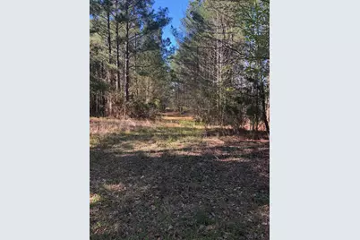 4.17 Acres Starr Hinson Road, Thomson, GA 30824 - Photo 17