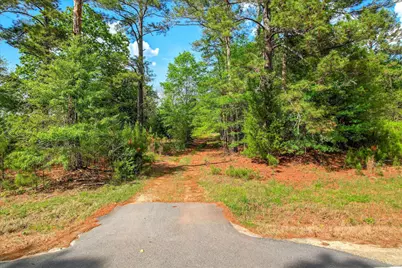 6995 Cobbham Road, Appling, GA 30802 - Photo 9