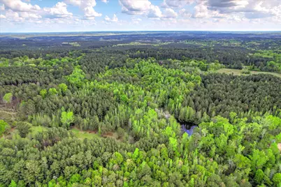 6995 Cobbham Road, Appling, GA 30802 - Photo 5
