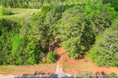 6995 Cobbham Road, Appling, GA 30802 - Photo 3