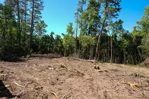 3215 Skinner Mill Rd, Augusta, GA 30909 - Photo 33