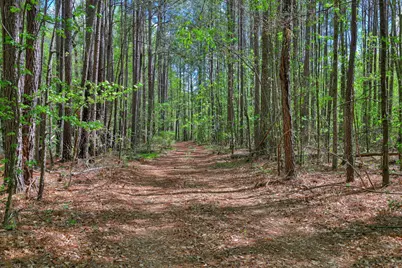 2146 Thomson Highway, Warrenton, GA 30828 - Photo 49