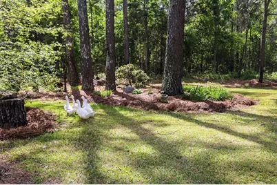 9466 Clarks Mill Road, Avera, GA 30803 - Photo 61