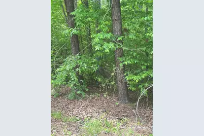 1-A New Delaughter Drive, North Augusta, SC 29860 - Photo 5