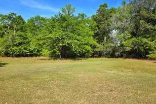 335 W Sheppard St, Stapleton, GA 30823 - Photo 47