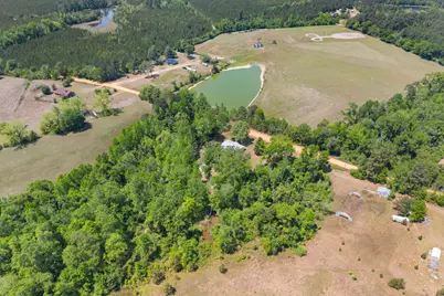 3347 Dickey Road, Millen, GA 30442 - Photo 29