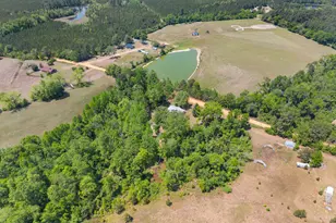 3347 Dickey Rd, Millen, GA 30442 - Photo 29