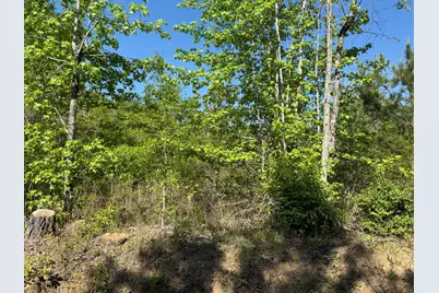 8087 Sandhill Road, Mitchell, GA 30820 - Photo 3