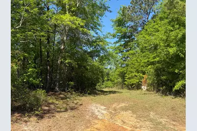 8087 Sandhill Road, Mitchell, GA 30820 - Photo 7
