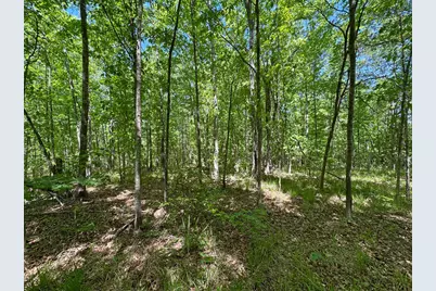 4230 W Quaker Road, Keysville, GA 30816 - Photo 17