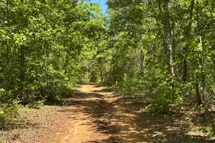 4230 W Quaker Rd, Keysville, GA 30816 - Photo 11
