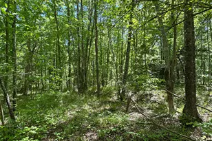 4230 W Quaker Rd, Keysville, GA 30816 - Photo 19