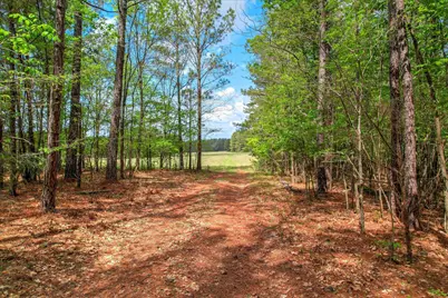 00 Ralph Goolsby Road, Lincolnton, GA 30817 - Photo 35