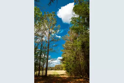 00 Ralph Goolsby Road, Lincolnton, GA 30817 - Photo 25