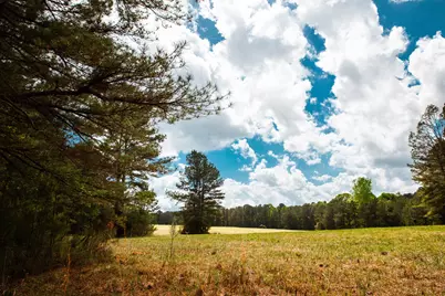 00 Ralph Goolsby Road, Lincolnton, GA 30817 - Photo 29