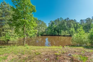 4 Cotton Gin Ct, North Augusta, SC 29860 - Photo 69