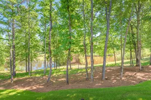 6 Cotton Gin Ct, North Augusta, SC 29860 - Photo 53