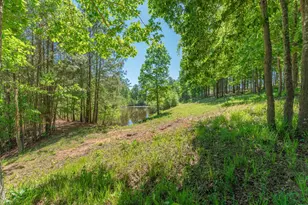 6 Cotton Gin Ct, North Augusta, SC 29860 - Photo 59