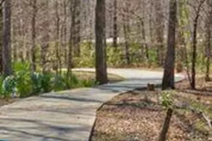 1043 Linsmore Ave, Grovetown, GA 30813 - Photo 39