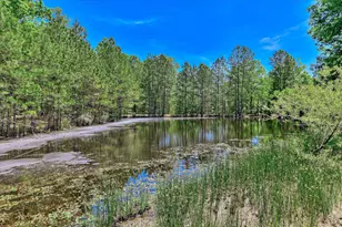 1154 Water Oak Dr, Lincolnton, GA 30817 - Photo 55