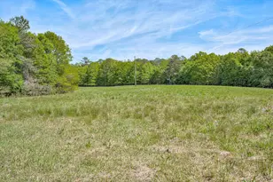 4375 Chamberlain S Ferry Rd, Lincolnton, GA 30817 - Photo 31