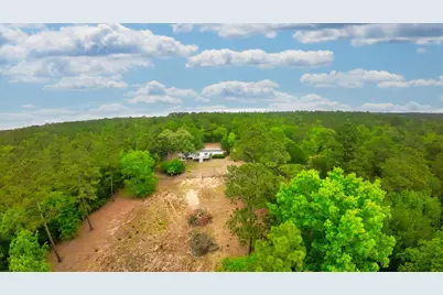 231 Holley Pond Road, Batesburg, SC 29006 - Photo 15