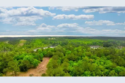 231 Holley Pond Road, Batesburg, SC 29006 - Photo 3